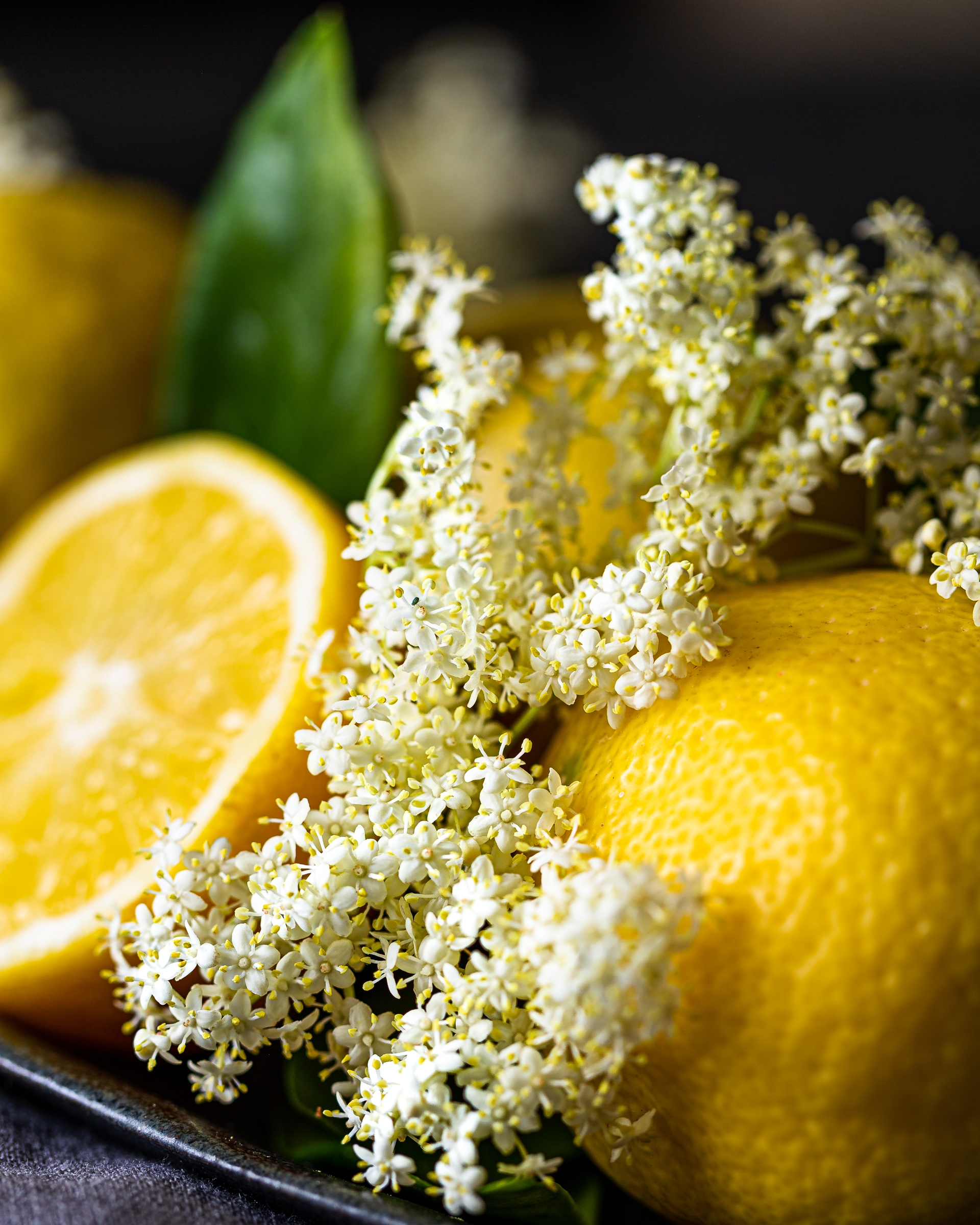29a elder flowers lemonade-3